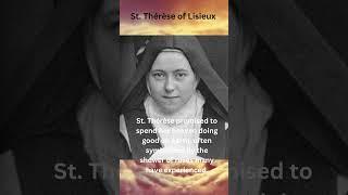 Saint Thérèse of Lisieux: The Little Flower of Jesus | Saint of the Day