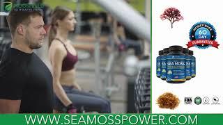 Nooshield Nutraceutical - Sea Moss Health Benefits, Organic Capsules & Pills – Sea Moss Power