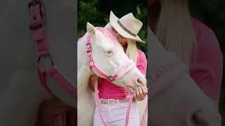 Horse Girl Barbie 