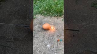 Egg VS Sparkler Experiment