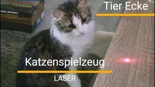 Katzen im Laserspielrausch: Lustige Jagdabenteuer mit meinen süßen Fellnasen 