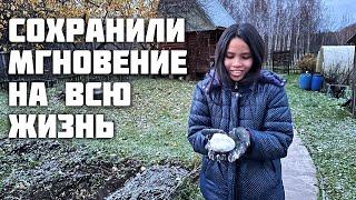 Это Наш Первый Снег? Реакция Жены Филиппинки Была Бесценной! / Котята / Создали Семейную Реликвию