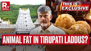 Tirupati Laddu Row: Naidu Alleges Use Of Animal Fat In Prashad