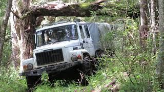 ГАЗ 33081 "ЕГЕРЬ". Проезд под деревом.