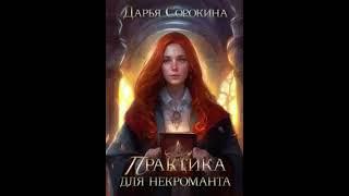 «Практика для некроманта» Дарья Сорокина
