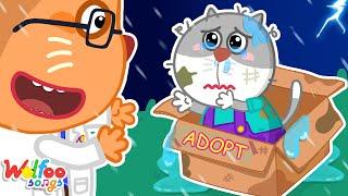 Poor Baby Is Adopted  New Siblings Song  Wolfoo Nursery Rhymes & Kids Songs