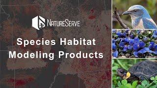 NatureServe Species Habitat Model Products | Webinar