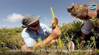 Monitoring Change in the Reserve