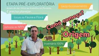 Como começa o estudo para fazer um plano de manejo florestal sustentável?