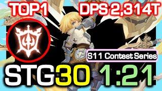 [S11 TOP1] Grand Master STG30 1:12 Rotation / DPS 2,314 Trillion / Dragon Nest China