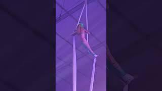 finix circus 9