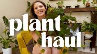 Spoiling myself with new plants! Houseplant Haul