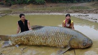 FULL VIDEO: Fishing Video, Primitive Life, Survival Skills Catch Big Fish