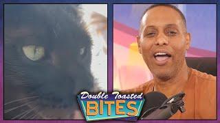 CAT BURGLAR MAKES THE NEWS | Double Toasted Bites