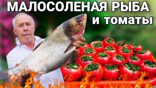 ТОЛСТОЛОБИК МАРИННОВАНЫЙ в ЗЕЛЕНИ и ЗАКУСКА из ФАРШИРОВАННЫХ МАЛОСОЛЕНЫХ КРАСНЫХ ПОМИДОР.