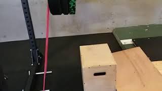 Accommodated Resistance Hack Squat for Landmine and Black Widow Attachment.