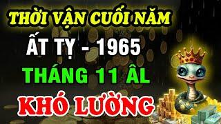 Tử Vi Tháng 11 ÂL Tuổi Ất Tỵ 1965: Cát Hung Khó lường, Nghe kỹ đón lành tránh dữ