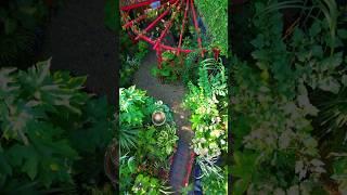 Tropical garden tour in 60 seconds