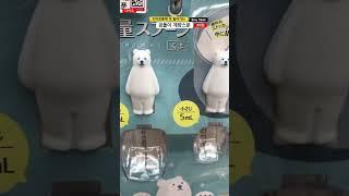 이거 너무 귀여워서 어떡해요???품절각!!!#다이소추천템 #다이소꿀템 #shorts