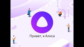 Битрикс 24 Управление голосом Алиса, Google Ассистент