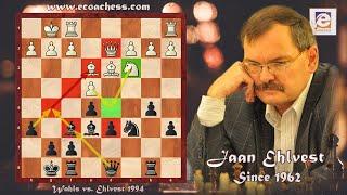 Greatest Chess Positional Play! Wahls vs. Ehlvest New York Open 1994