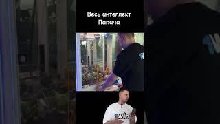 Интеллект папича #shorts #tiktok #meme #папич#мем #папичрофл #рофл #папичлучшее