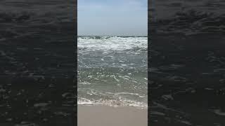 The Gulf