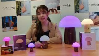 Gingko Alice Mushroom Lamp Instruction