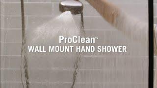 ProClean™ Hand Shower