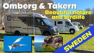 Omberg & Tåkern - Beautiful nature & birdlife in Sweden. Weekend trip with my Hymer ML-T Crossover.