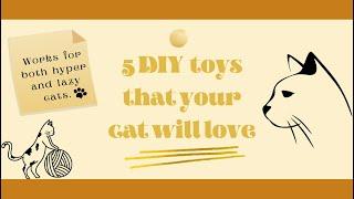 5 DIY cat toys that your cat will LOVE!!!