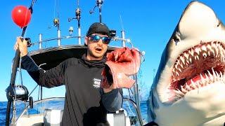 FISHING with BIG Tuna Bait For BIG Sharks