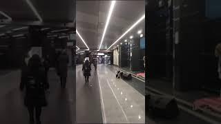 Музыкант на Мичуринском проспекте