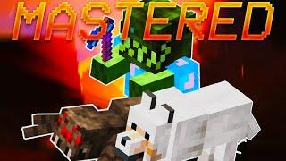 How To Master Slayers - Hypixel Skyblock Ironman