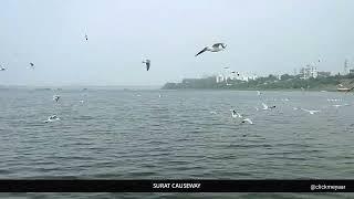 CLICKMEYAAR | SURAT CAUSEWAY | SURAT EXPLORER