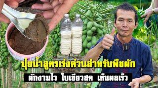 ปุ๋ยน้ำสูตรเร่งด่วนสำหรับพืชผัก ผักงามไว ใบเขียวสดเห็นผลไม่เกิน 7 วัน