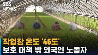 작업장 온도 '46도'…보호 대책 밖 외국인 노동자 / SBS