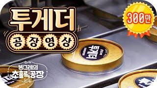 투게더 만드는 과정 공개: 빙그레의 초홀릭 공장 EP.3 투게더