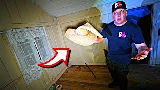 WITHOUT EXPLANATION THE TERROR CAPTURED IN THE WIZARD'S HOUSE!