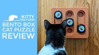 Bento Box Cat Puzzle Review