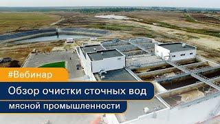 Вебинар "Обзор очистки сточных вод мясной промышленности"