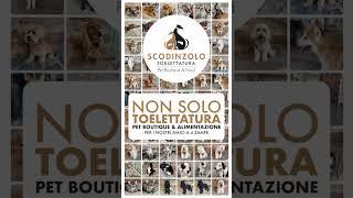 SEGNATI la data!!  28 GIUGNO.. Festeggia con noi! Toelettatura, Boutique  & Pet Food  #news