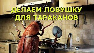 Делаем ловушку для тараканов. Поймали всех!