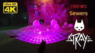 STRAY GAME WALKTHROUGH | CHAPTER 8 - THE SEWERS | 4K60 UHD GAMEPLAY | GAMERS DIGEST