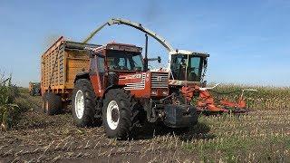 Folbert aan het mais hakselen met Claas, Fiatagri, Fendt Favorit & New Holland - deel 2 (2018)