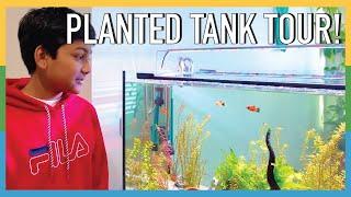 This young Aquarist has a STUNNING Planted Tank! Tank Tour!