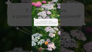 Аффирмация дня   #Скажи_мечте_ДА #СкажимечтеДА #мечта