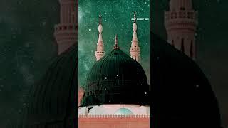 unka#minar#par#shorttrndeng#youtubevideo#khwaza#totalgaming#@riel15new34