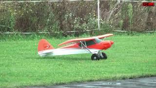 Der Erstflug mit der E-flite Carbon-Z Cub