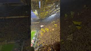 You’ll Never Walk Alone BVB vs Hoffenheim #bundesliga #bvb #football #stadium